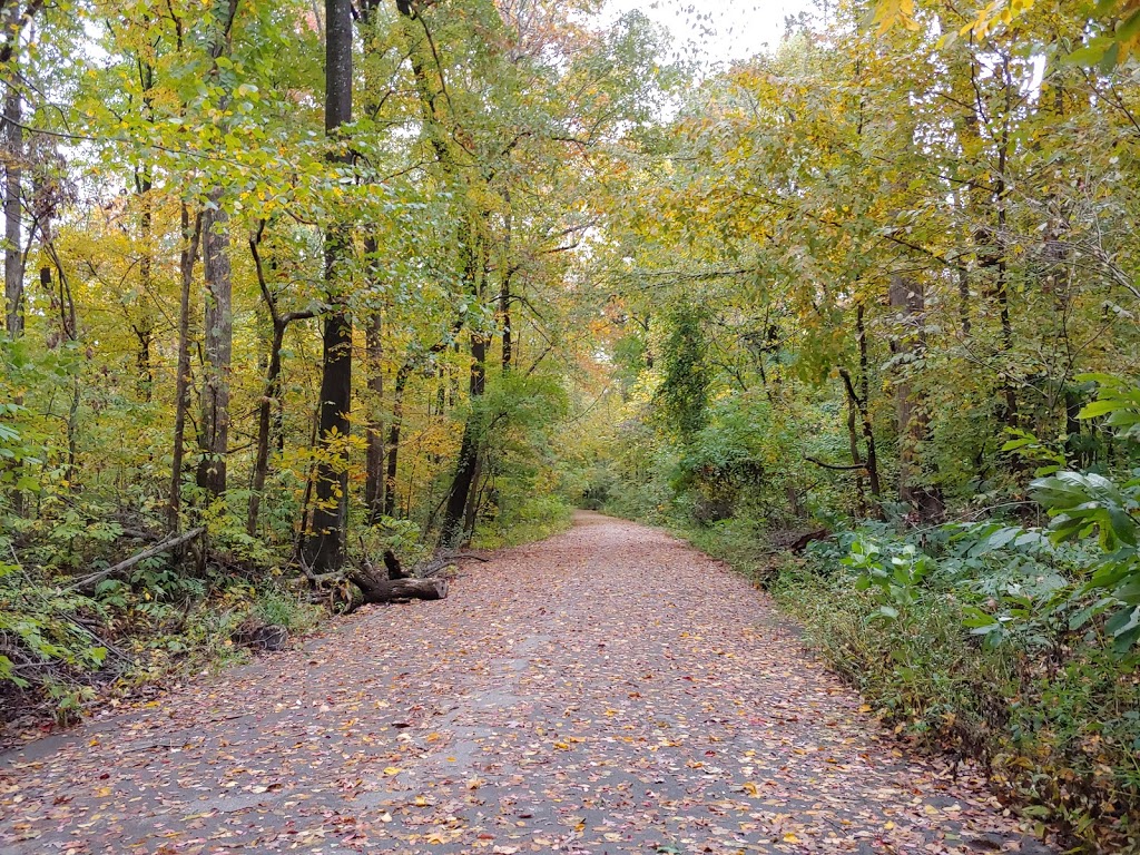 Old Forest State Natural Area | Memphis, TN 38104 | Phone: (901) 214-5450