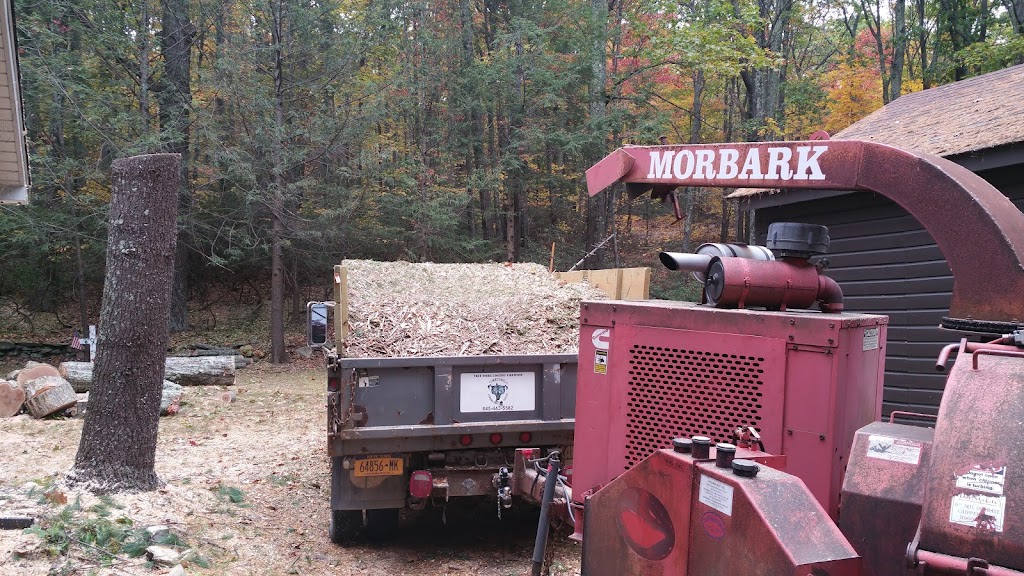 Timberwolf Tree Service | 111 Beard Rd, Delanson, NY 12053, USA | Phone: (845) 443-5582