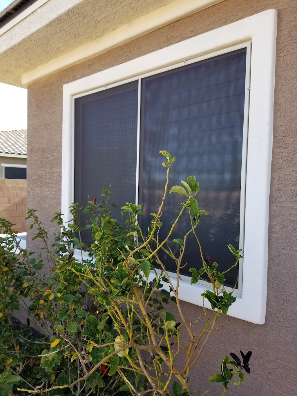 Accent Screens, LLC | Window Sunscreen Installers | 3718 E Isabella Ave, Mesa, AZ 85206, USA | Phone: (480) 720-4053