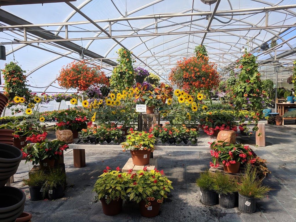 Bakers Acres Greenhouse | 3388 Castle Rd, Alexandria, OH 43001 | Phone: (740) 924-6525