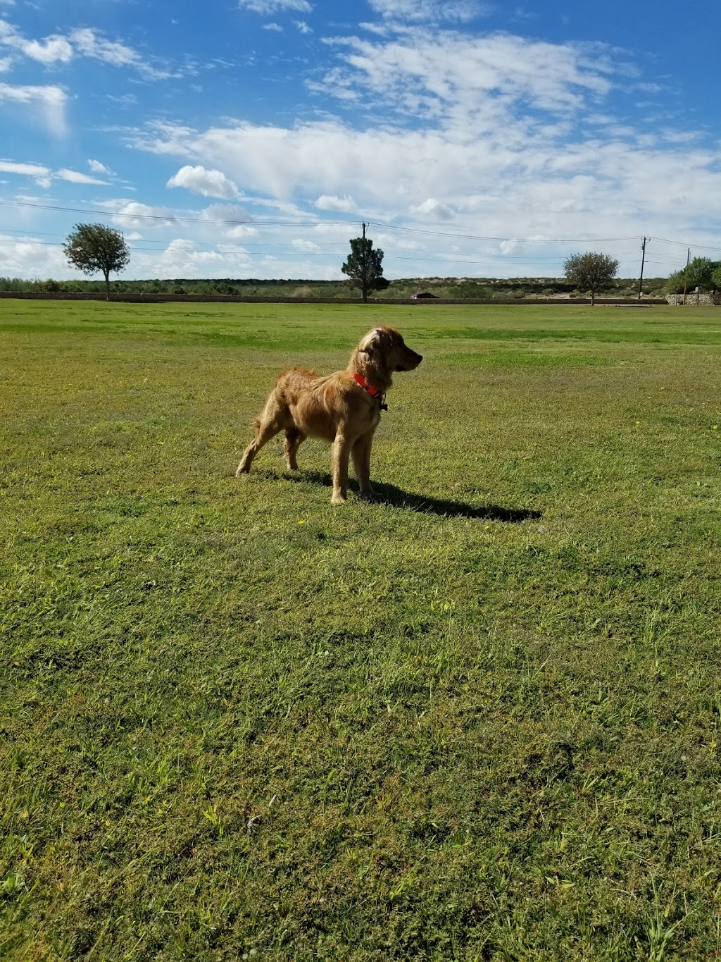 Montwood Heights Park | 12598 Flora Alba Dr, El Paso, TX 79928, USA | Phone: (915) 212-0092