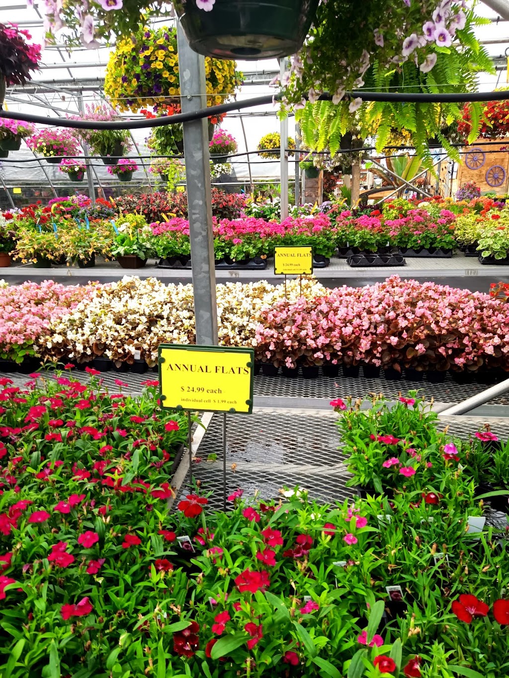 Sabos Woodside Nursery Inc | 7800 N Ridge Rd, Madison, OH 44057, USA | Phone: (440) 466-9523