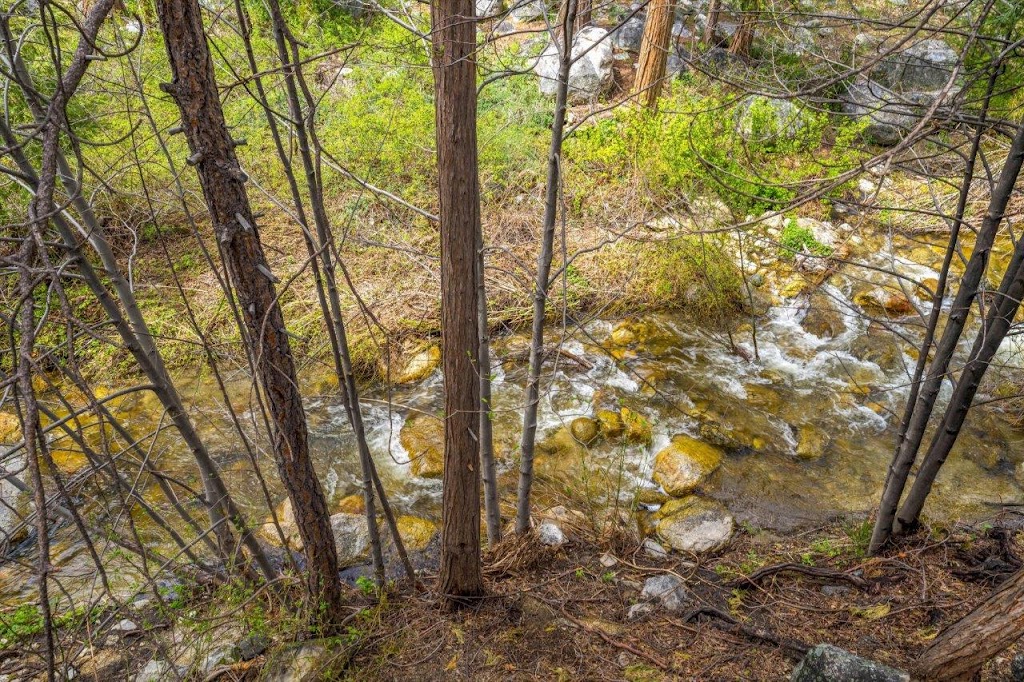 7 Pines Creekside | 54380 S Circle Dr, Idyllwild-Pine Cove, CA 92549, USA | Phone: (951) 663-0527