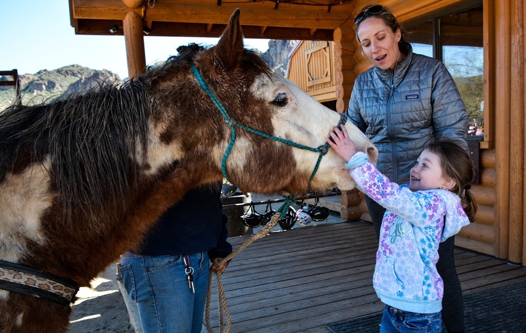 Saguaro Lake Ranch Stables | 13050 N Bush Hwy, Mesa, AZ 85215, USA | Phone: (480) 984-0335