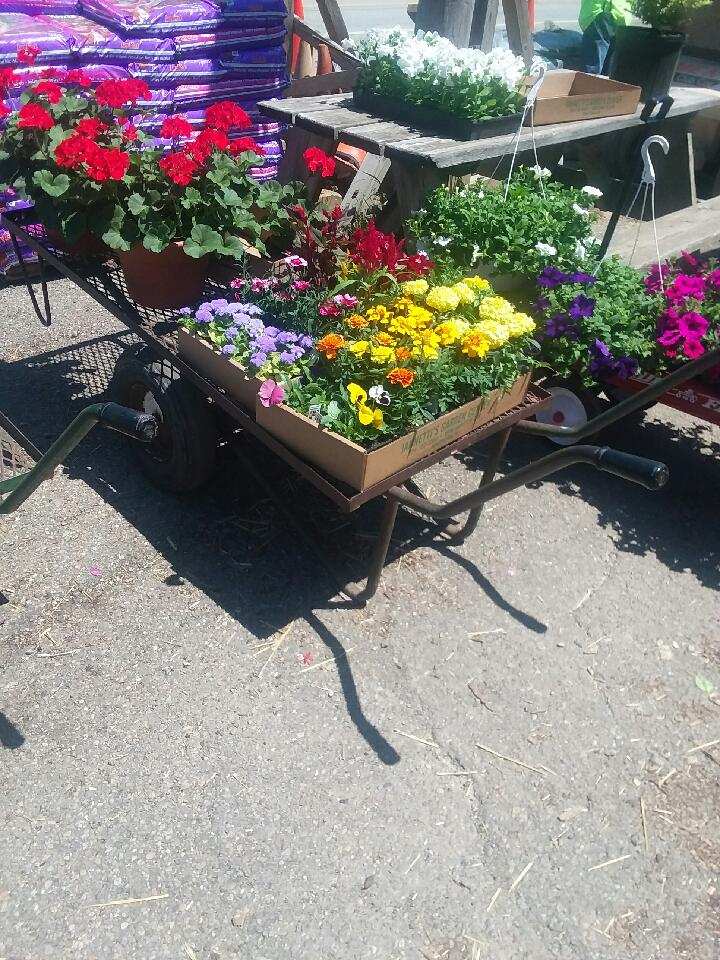 Iannettis Garden Center | 728 Steubenville Pike, Burgettstown, PA 15021, USA | Phone: (724) 729-3500