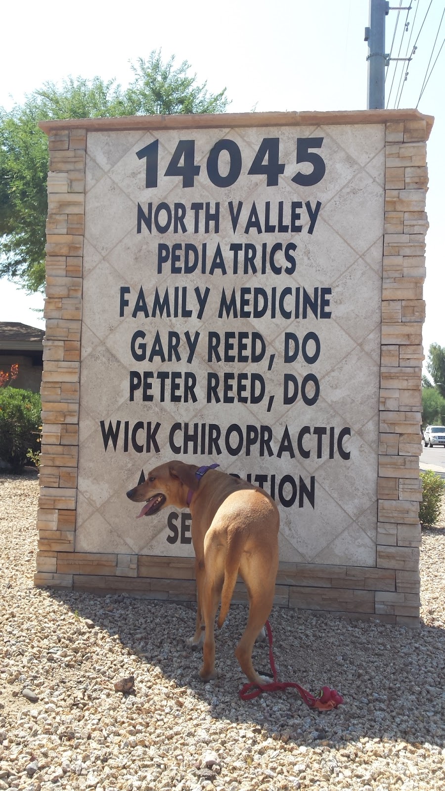North Valley Pediatrics, Pc | 14045 N 7th St, Phoenix, AZ 85022, USA | Phone: (602) 482-7311