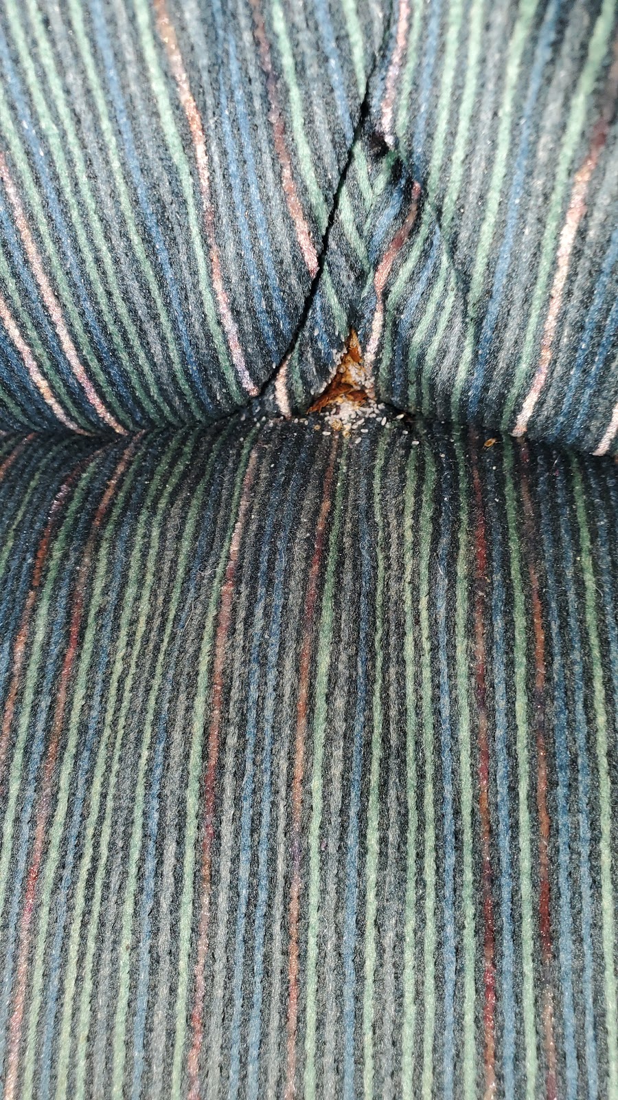 Blue Valley Pest Control | 403 S Walnut Ave, Milford, NE 68405, USA | Phone: (402) 761-2666