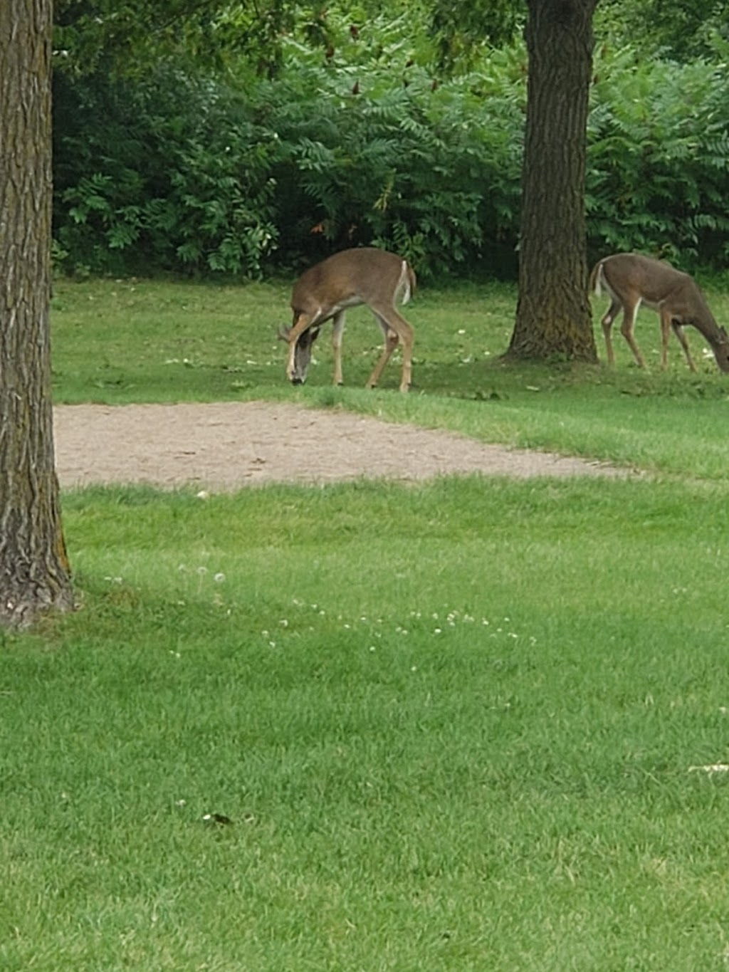 Clifton French Regional Park | 15720 Rockford Rd, Minneapolis, MN 55446, USA | Phone: (763) 694-7750