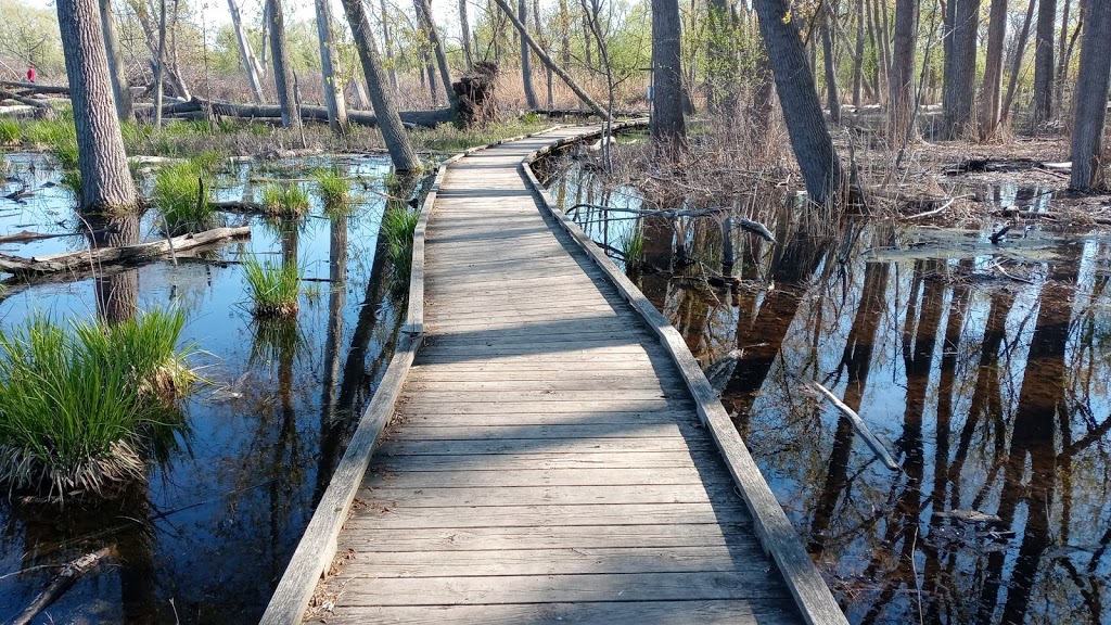 Tifft Nature Preserve | 1200 Fuhrmann Boulevard, Buffalo, NY 14203, USA | Phone: (716) 825-6397