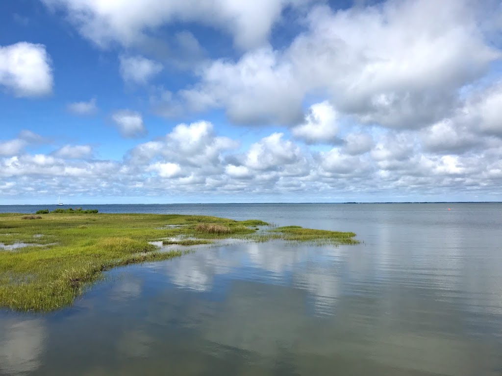 New Point Comfort Natural Area Preserve | New Point Comfort Natural Area Preserve, Port Haywood, VA 23138, USA | Phone: (434) 225-2303