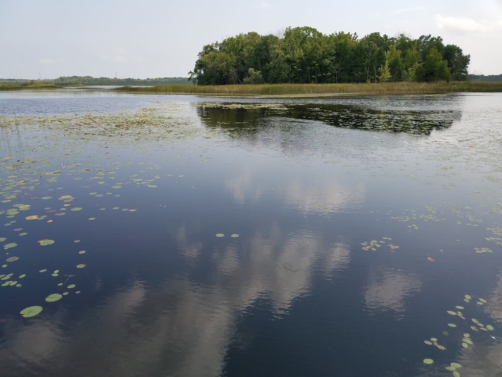 Cedarburg Bog State Natural Area | WI-33, Saukville, WI 53080, USA | Phone: (262) 675-6844