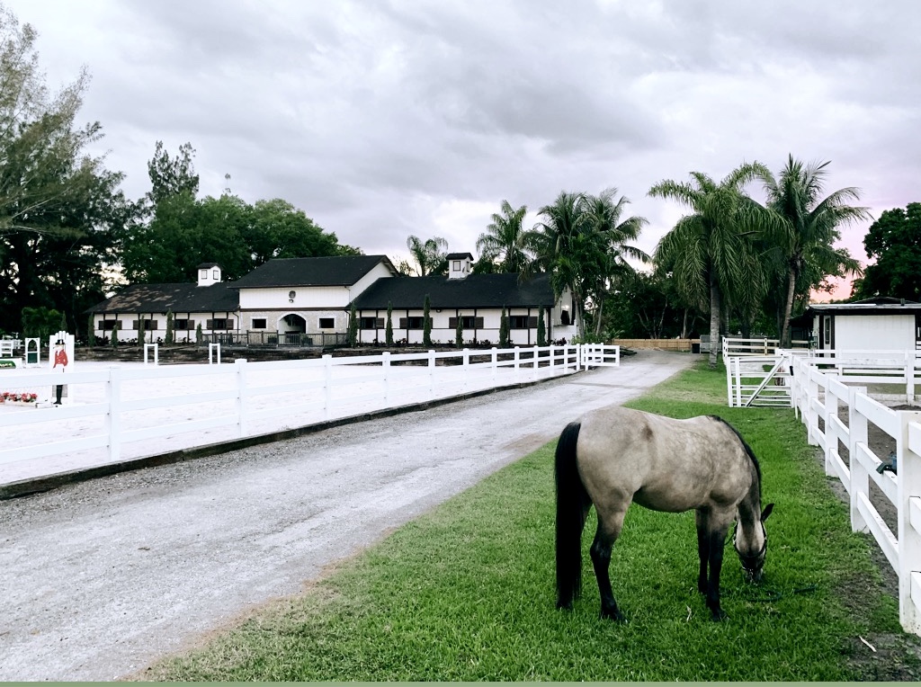 Equilux Show Stables | 15721 SW 51st Manor, Southwest Ranches, FL 33331, USA | Phone: (954) 257-0470