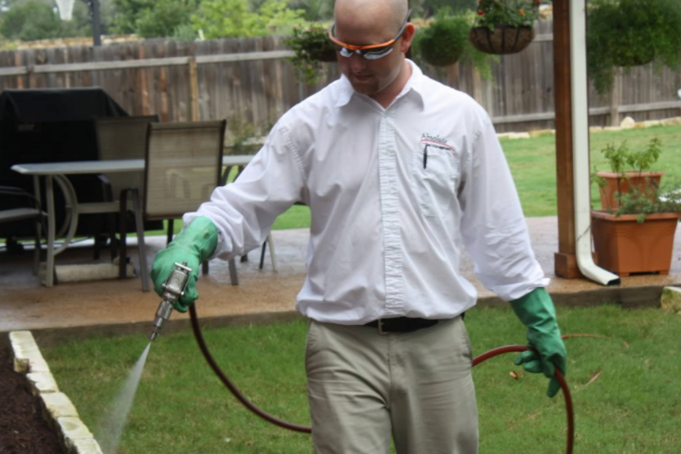 Absolute Pest Management | 31990 Ranch Rd 12, Dripping Springs, TX 78620, USA | Phone: (512) 444-0262