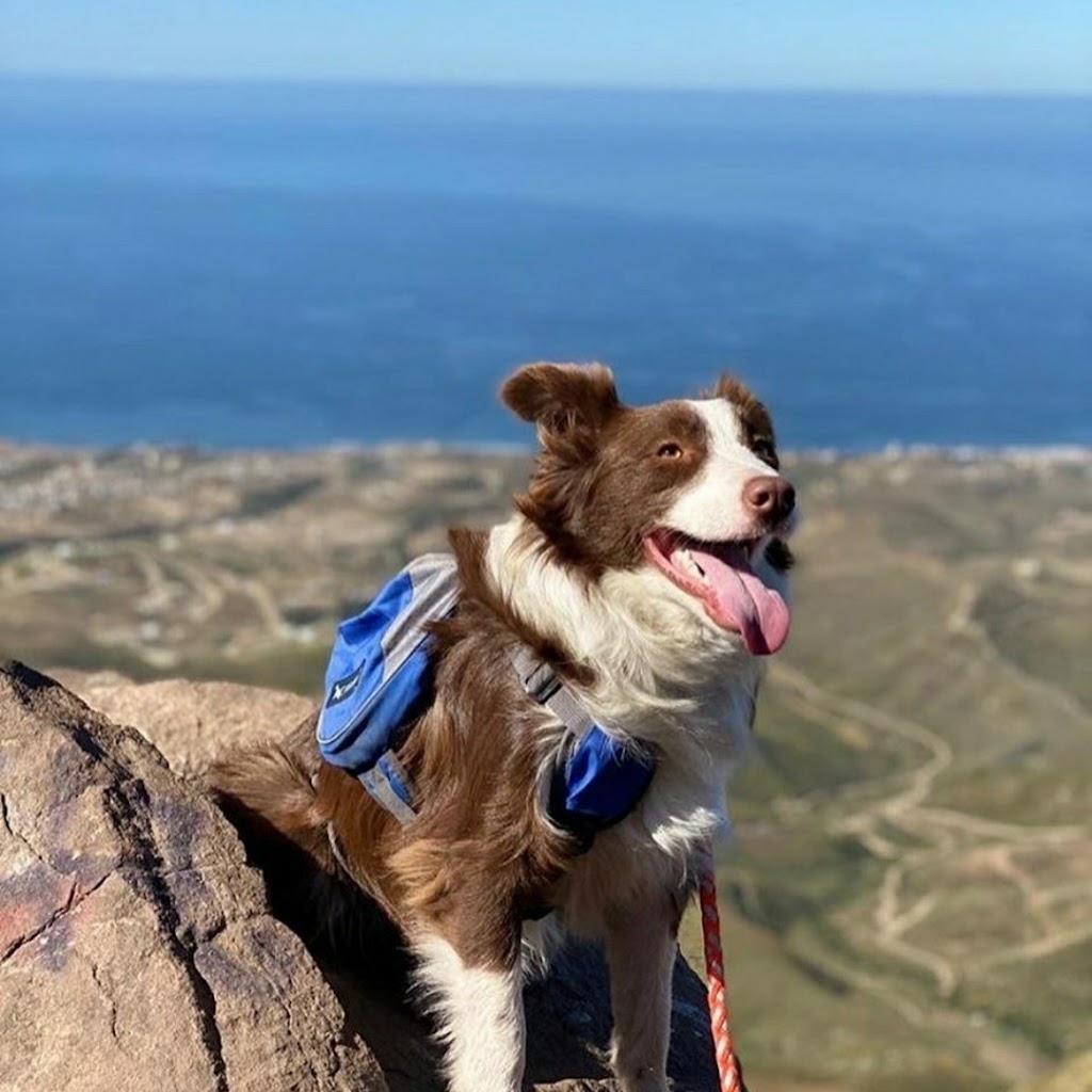 Cerro del Coronel | 73GR+Q8 Ejido Primo Tapia, Cerro del Coronel, 22740 Rosarito, B.C., Mexico | Phone: 661 614 1176