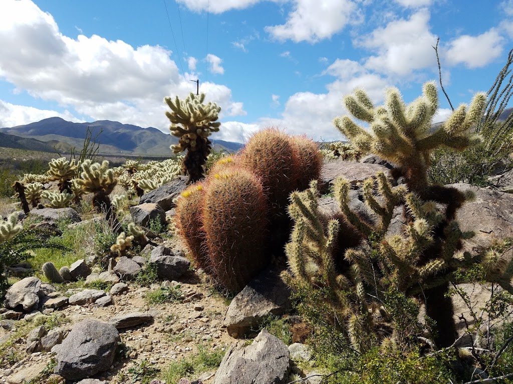 Yaqui Wash Primitive Campground | Yaqui Pass Rd, Julian, CA 92036, USA | Phone: (760) 767-4037