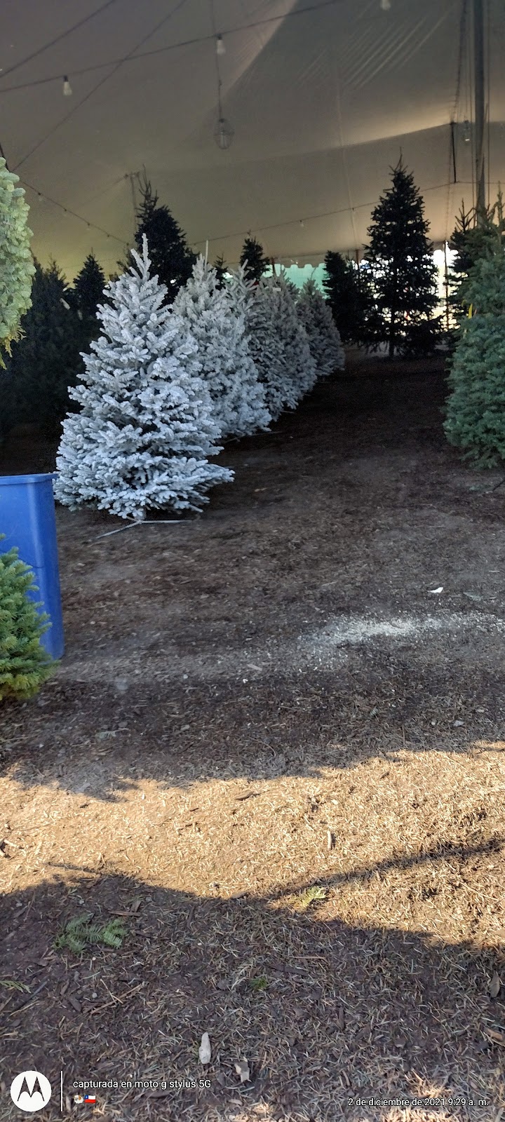 Ayala Skate Park | 5575 Edison Ave, Chino, CA 91710, USA | Phone: (909) 590-5544