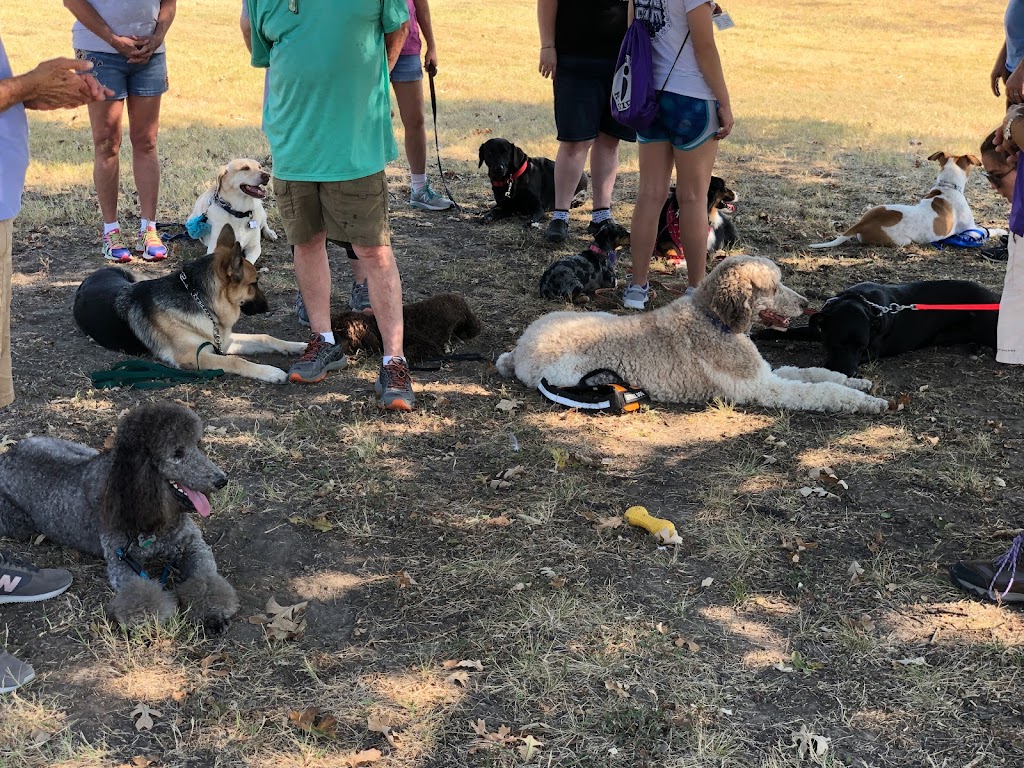 Judys-jewelry | 804 Great Britain Blvd, Austin, TX 78748, USA | Phone: (512) 228-6582