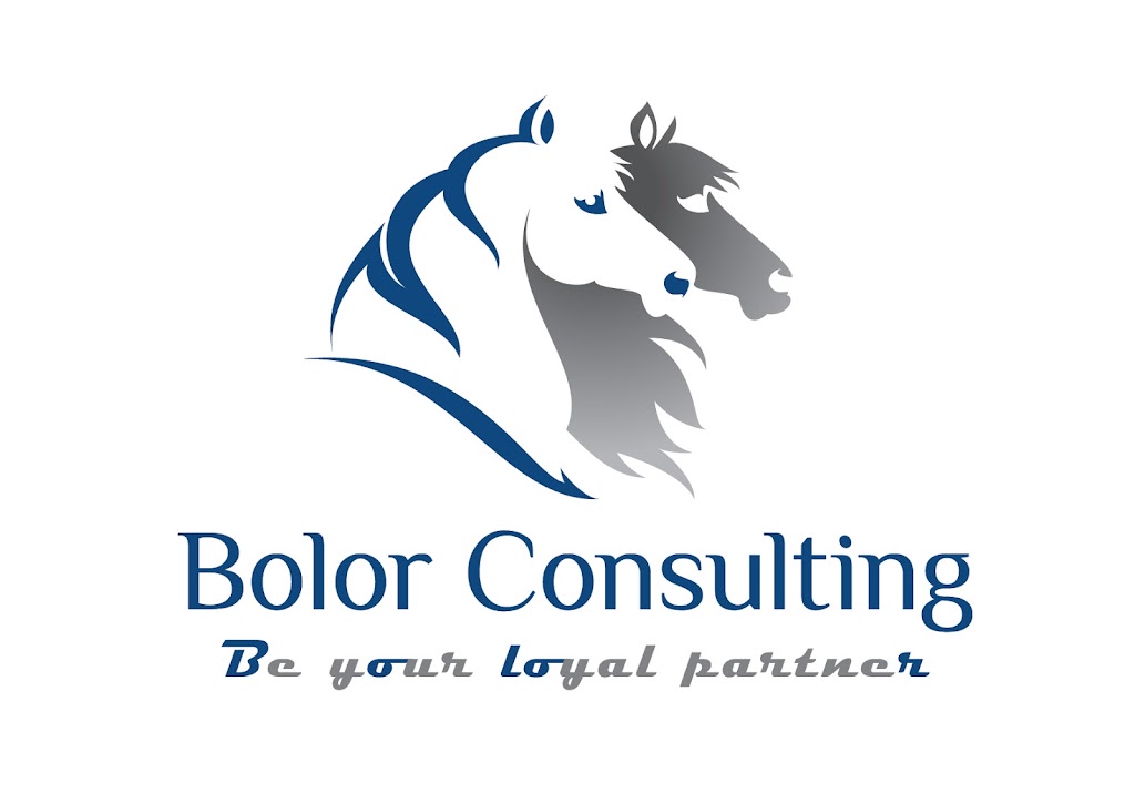 Bolor Consulting 博勒咨询（美国）有限公司 | 5151 Headquarters Dr Suite 260, Plano, TX 75024, USA | Phone: (972) 979-7369