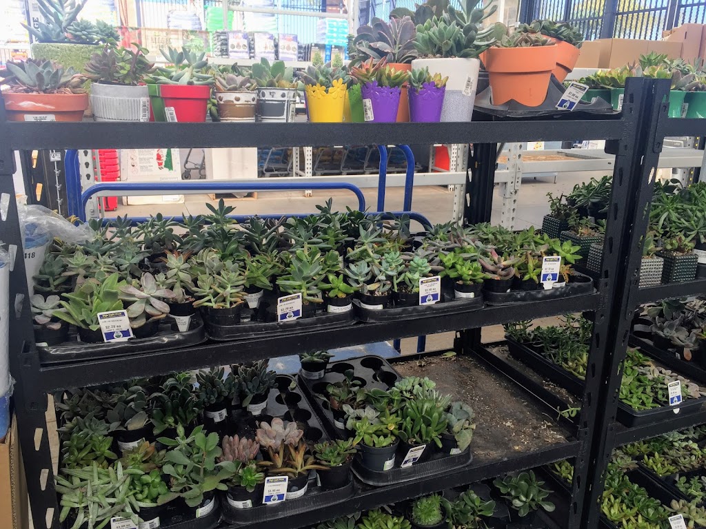 Lowes Garden Center | 700 S Watson Rd, Buckeye, AZ 85326, USA | Phone: (623) 474-5015