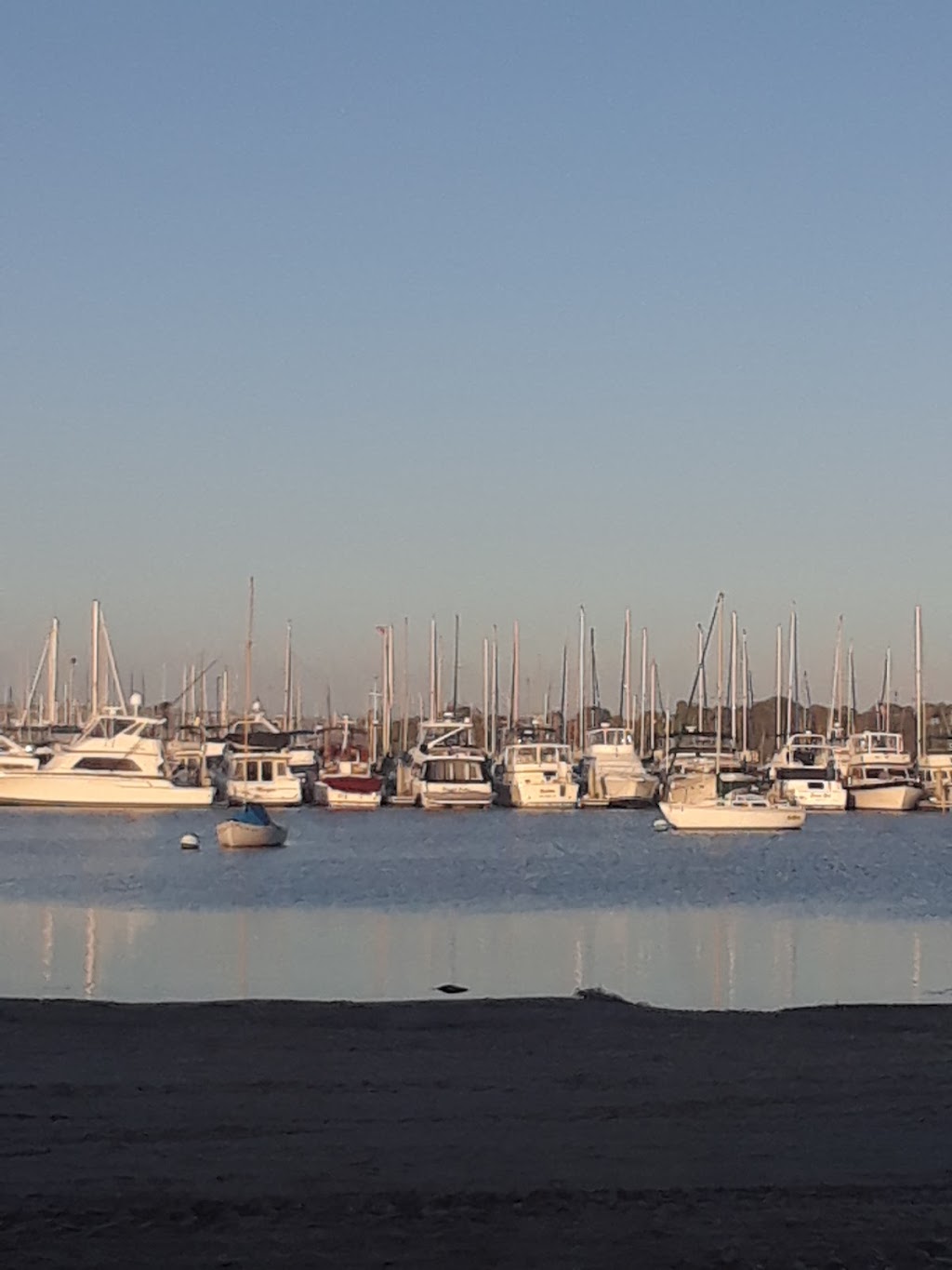 AgentJane Health & Life | 2313 Bay Blvd, Indian Rocks Beach, FL 33785, USA | Phone: (727) 314-0116