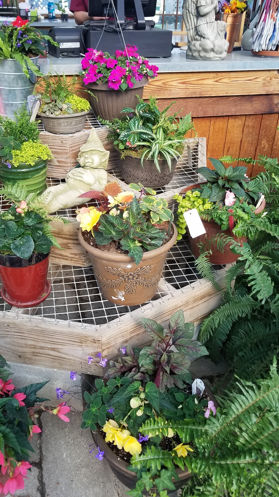 Garden Gate Nursery Inc | 1701 N Main St, Auburn, IN 46706, USA | Phone: (260) 925-1760