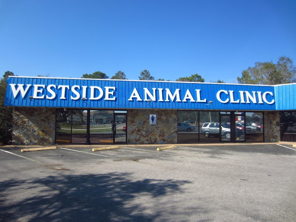 Westside Animal Clinic | 3501 Commercial Way, Spring Hill, FL 34606, USA | Phone: (352) 683-1512