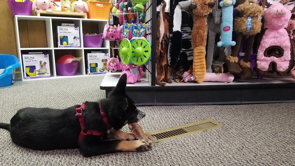 Cosmos Dog Bakery and Pet Supplies | 10111 W 26th Ave #101, Wheat Ridge, CO 80215, USA | Phone: (303) 232-1477