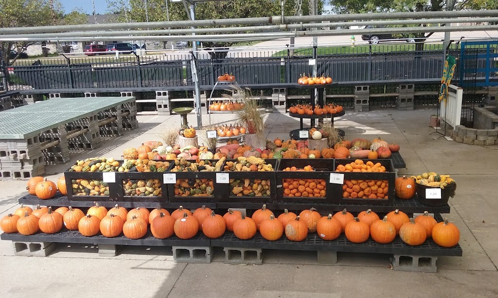 Ace Hardware & Garden Center | 20277 Wirt St, Elkhorn, NE 68022, USA | Phone: (402) 289-2333