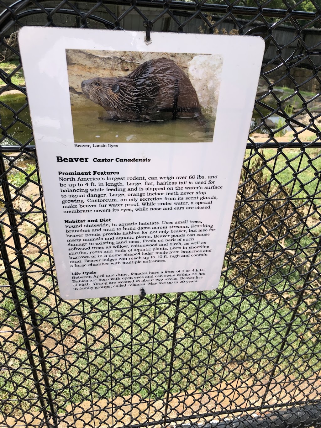 Three Forks Nature Center | 19460 Park 80, Hulbert, OK 74441, USA | Phone: (918) 772-2545