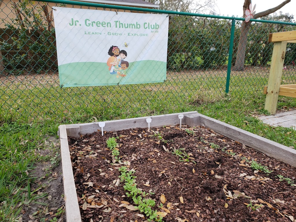 Oldsmar Organic Community Garden | 423 Lafayette Blvd, Oldsmar, FL 34677, USA | Phone: (727) 804-4028