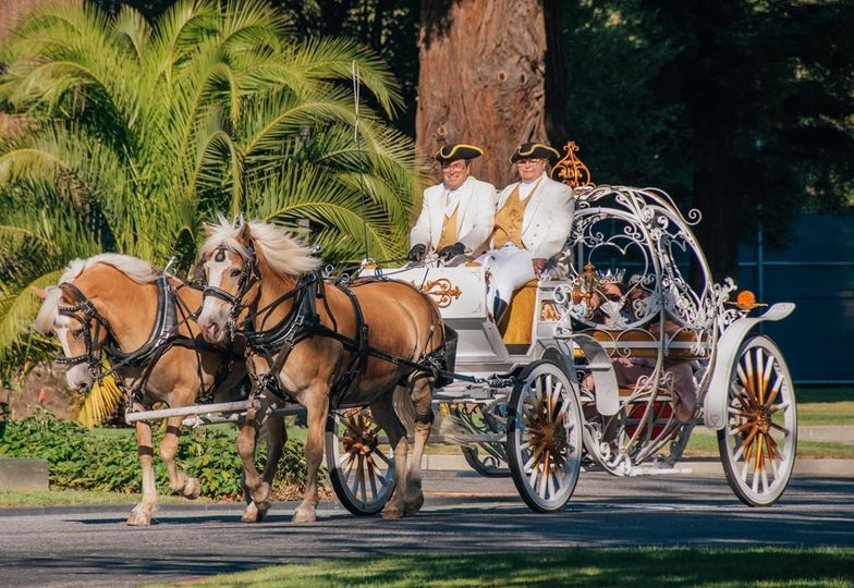 Fancy Ferriage by Horse & Carriage | 3900 Brown Rd, Oakley, CA 94561, USA | Phone: (925) 679-9412