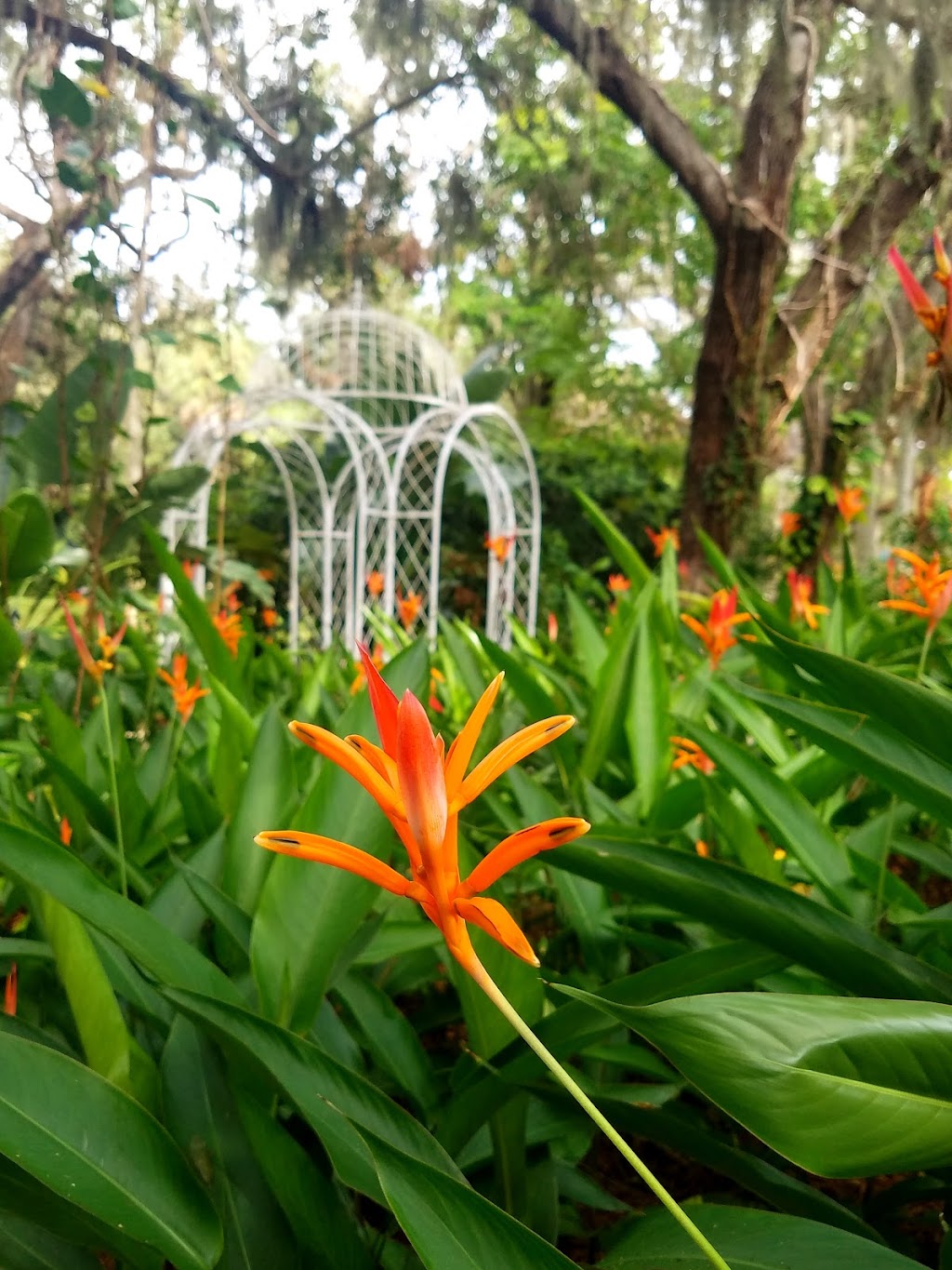 Manatee River Garden Club, Inc. | 3120 1st Ave W, Bradenton, FL 34205, USA | Phone: (941) 704-2388