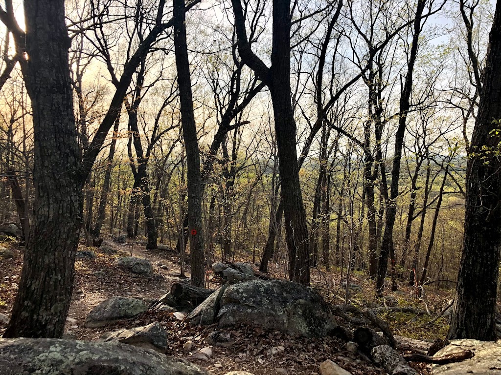 Cane Creek Mountains Natural Area - Pine Hill Trailhead | 5075 Bass Mountain Rd, Snow Camp, NC 27349, USA | Phone: (336) 229-2410