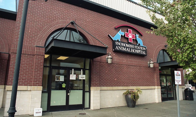 Snohomish Station Animal Hospital | 2705 Bickford Ave, Snohomish, WA 98290, USA | Phone: (360) 799-5007