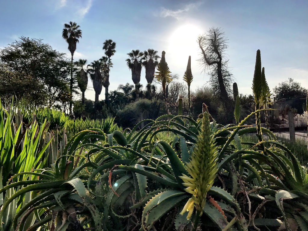 University of California Irvine Arboretum | Campus Dr and Jamboree Rd, Irvine, CA 92697, USA | Phone: (949) 824-5833