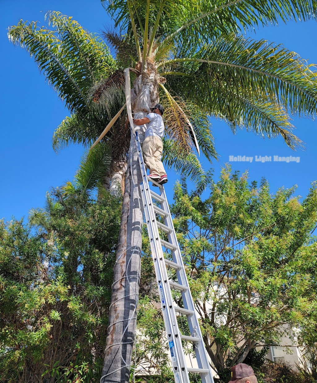 Holiday Light Hanging | 1202 N Pacific St, Oceanside, CA 92054, USA | Phone: (760) 575-1205