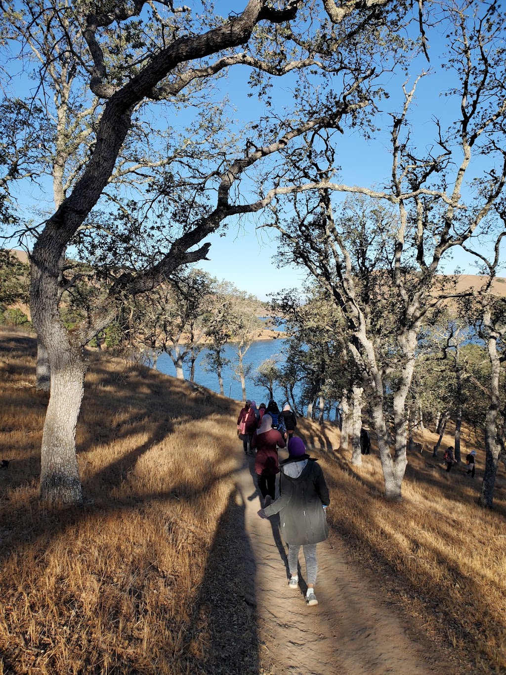 Del Valle Arroyo Road Staging Area (EBRPD) | Arroyo Rd, Livermore, CA 94550, USA | Phone: (510) 544-3146