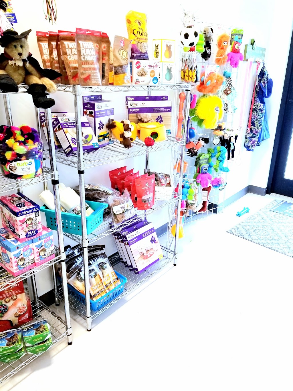 Mickeys Pet Supplies | 8240 Vicela Dr, Sarasota, FL 34240, USA | Phone: (877) 863-5431