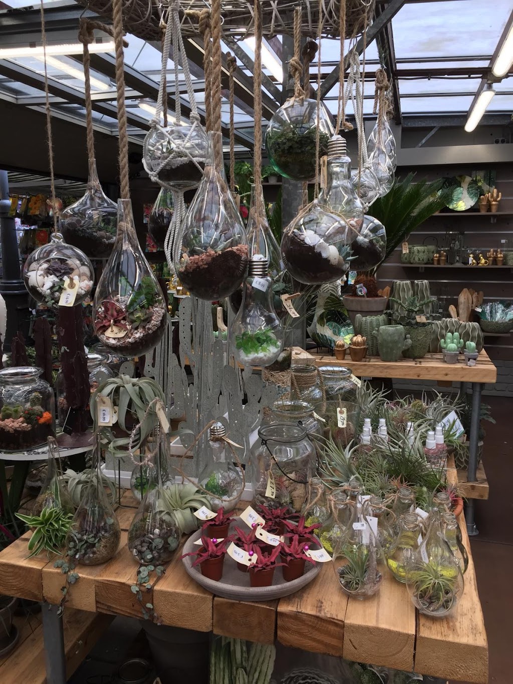 Cheese & More Flower Market | Singel 540, 1017 AZ Amsterdam, Netherlands | Phone: 06 23843408