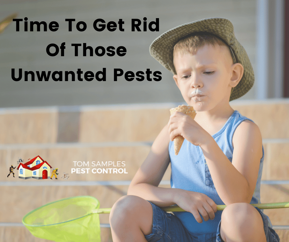 Tom Samples Pest Control | 110 Couch Ct, Springtown, TX 76082, USA | Phone: (817) 915-2470