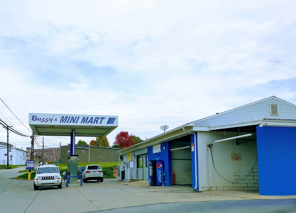 Buzzys Mini Mart | 116 Republic Rd, Republic, PA 15475, USA | Phone: (724) 246-1280