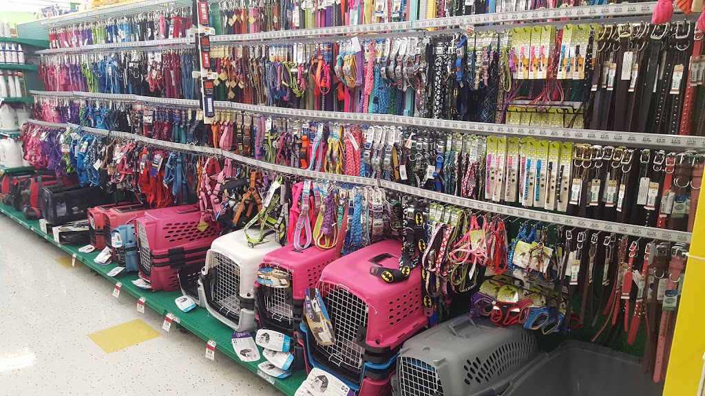 Pet Supplies Plus | 4405 Milestrip Rd, Blasdell, NY 14219, USA | Phone: (716) 464-1108