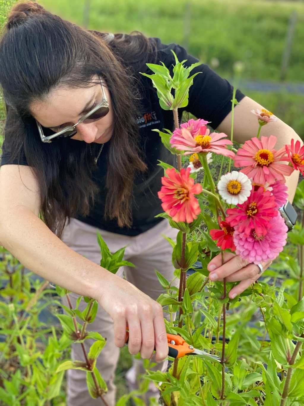 Haven Flower Farm | 218 Bouverans Cir, Lockport, LA 70374, USA | Phone: (985) 870-8550