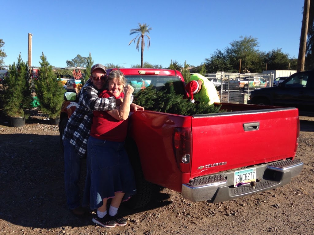 Moon Valley Nurseries Christmas Trees Glendale | 6400 W Bell Rd, Glendale, AZ 85308, USA | Phone: (858) 699-9996