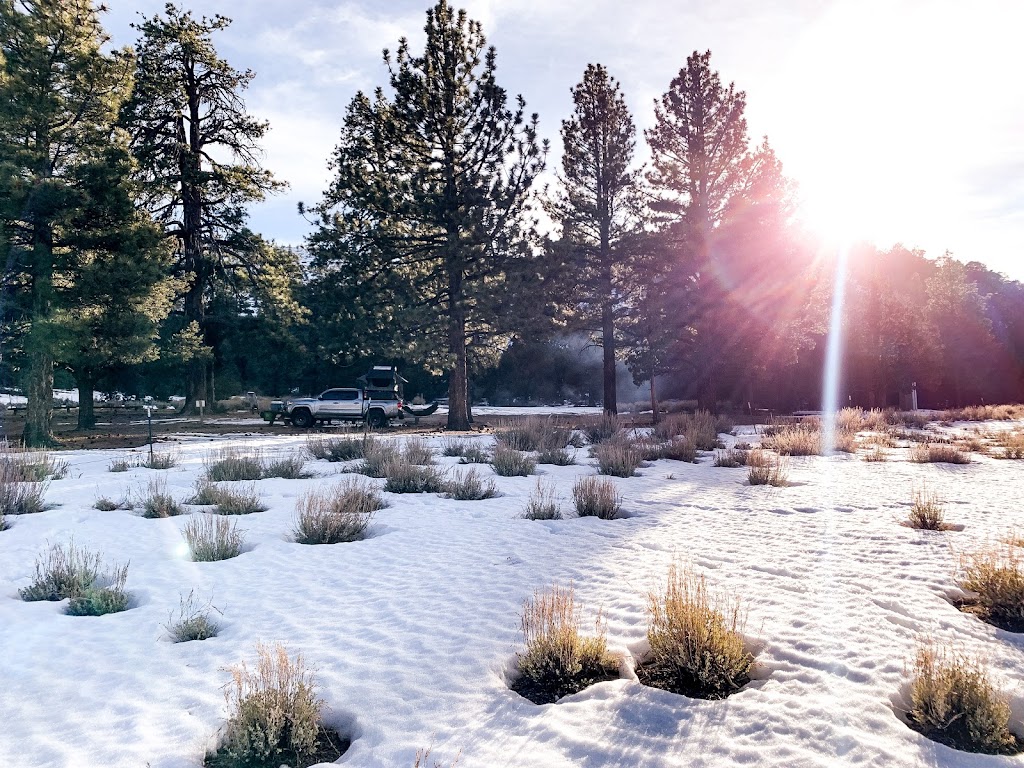 Juniper Springs Group Campground | San Bernardino, CA 92418, USA | Phone: (877) 444-6777