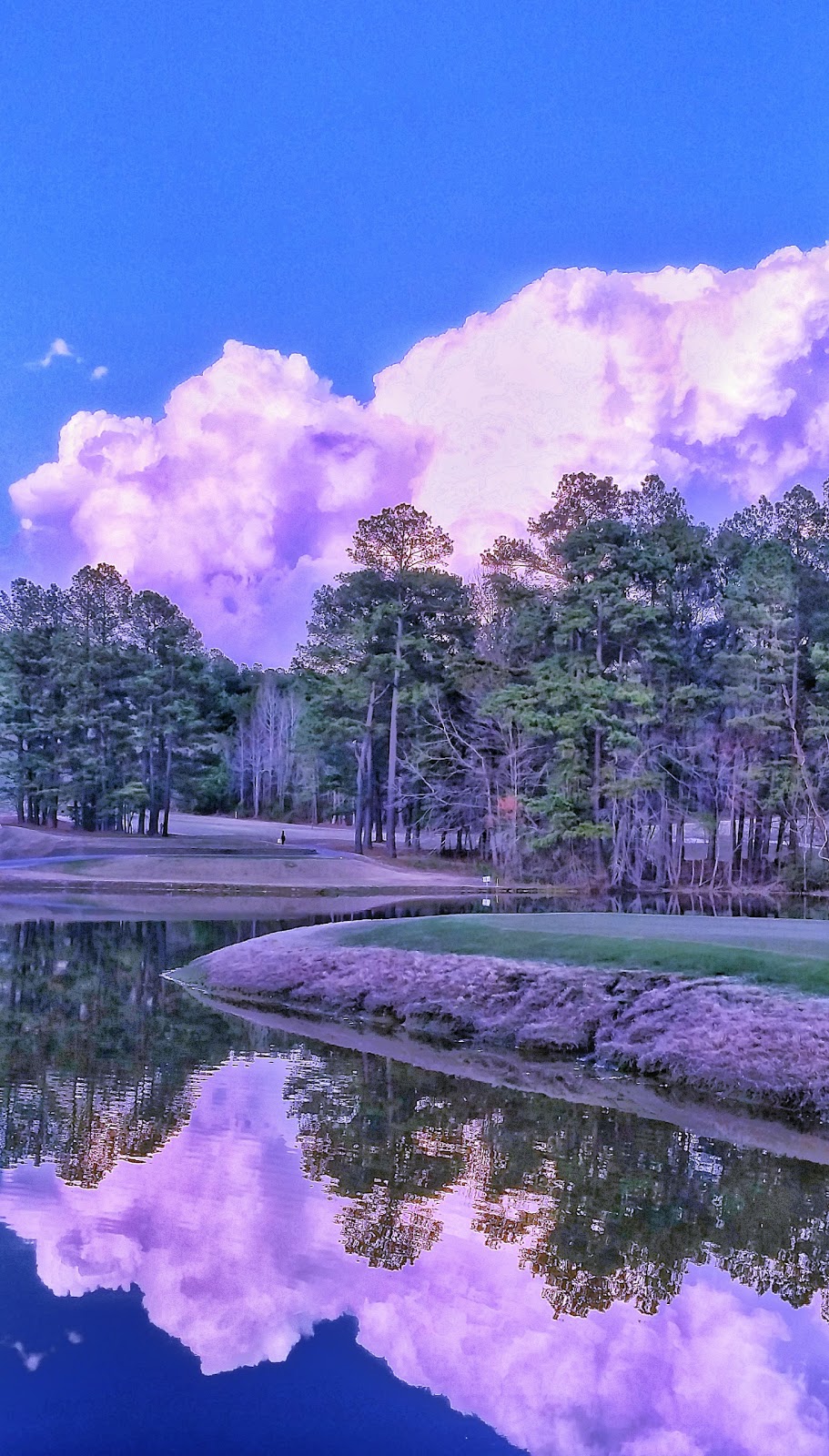 Pine Hollow Golf Club | 3300 E Garner Rd, Clayton, NC 27520, USA | Phone: (919) 553-4554