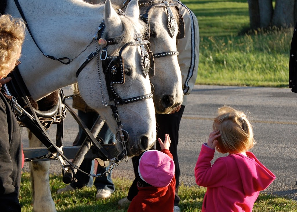 Camelot Carriage Rides | 8655 Winchester Rd, Decatur, IN 46733, USA | Phone: (260) 223-2417