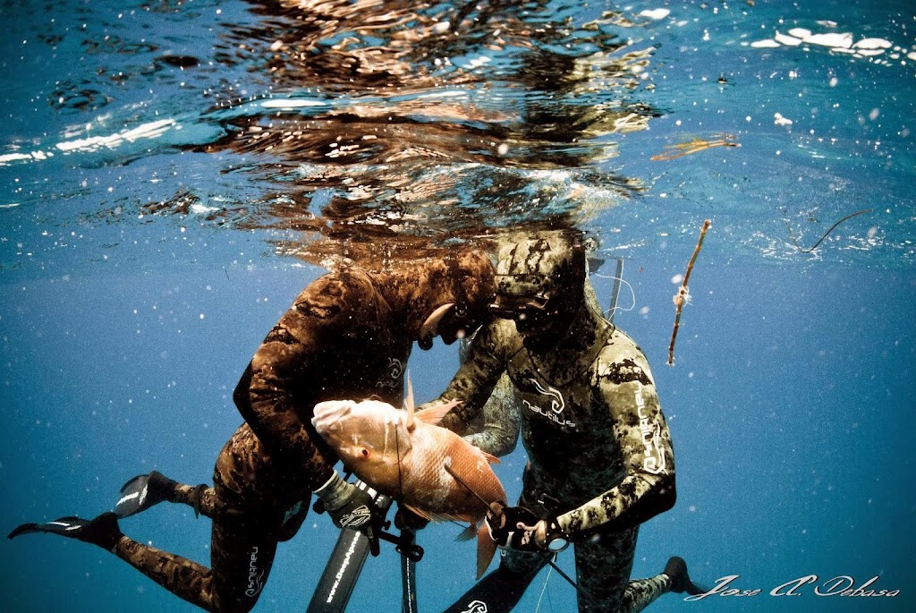 Nautilus Spearfishing | 348 SW 57th Ave, Miami, FL 33144, USA | Phone: (305) 610-3005