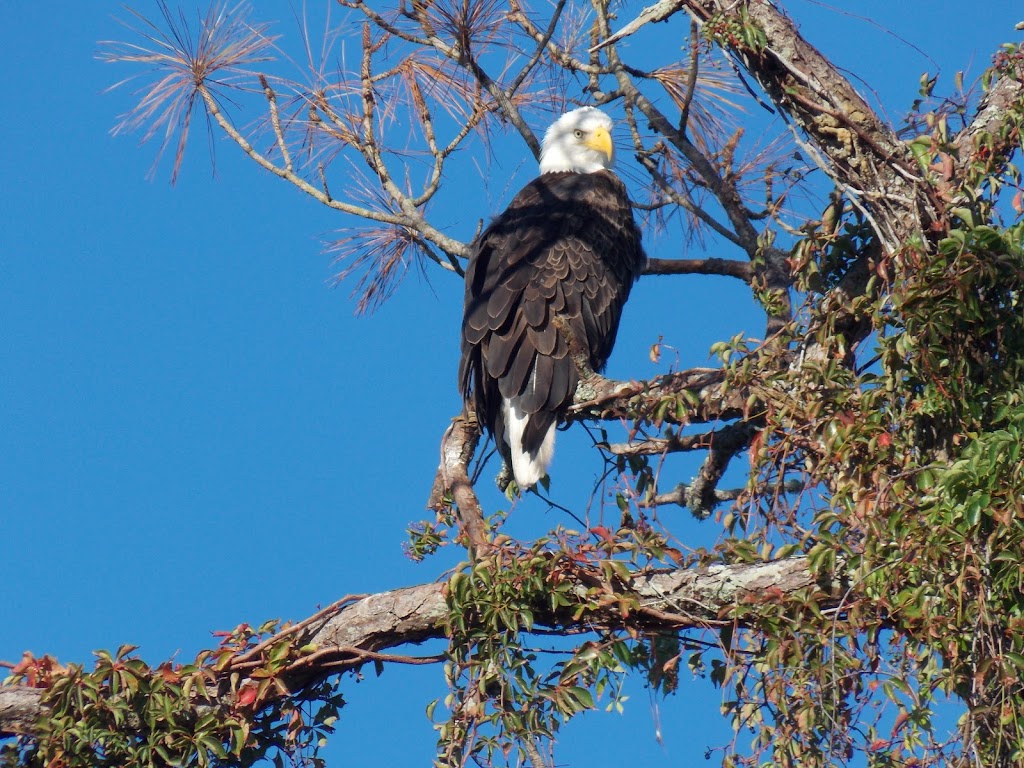 Blackburn Point Park | 800 Blackburn Point Rd, Osprey, FL 34229, USA | Phone: (941) 861-5000