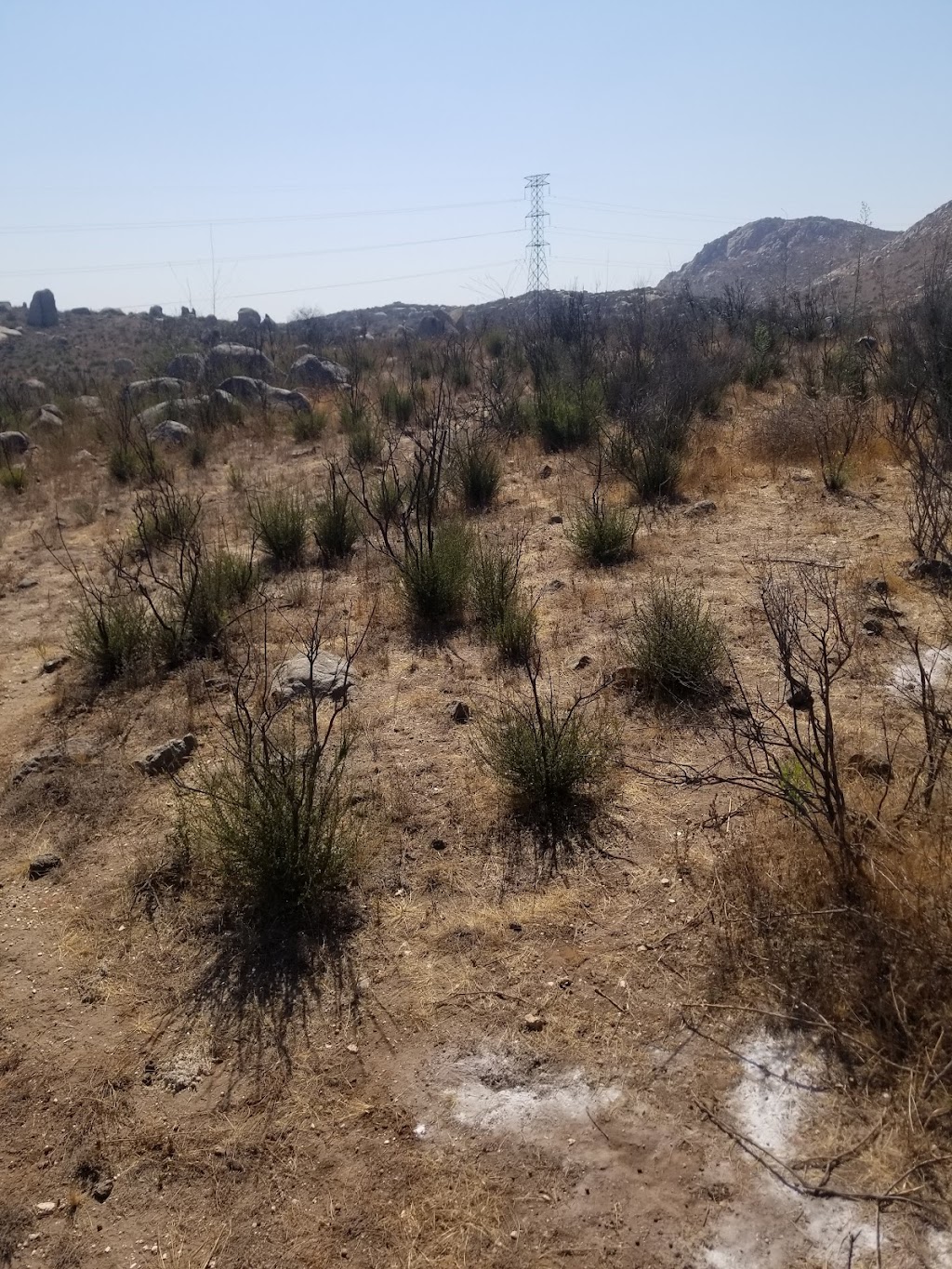 Terrenos Campestres | 21503 Tecate, Baja California, Mexico | Phone: 664 767 7105